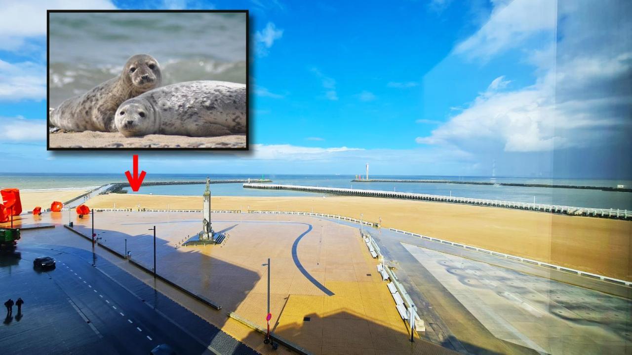 Maui - Zeezichtappartement Te Oostende Luaran gambar